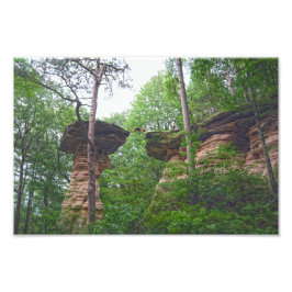 Foto Cachorro Saltando de Stand Rock em Wisconsin Dells