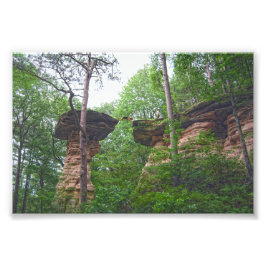 Foto Cachorro Saltando de Stand Rock em Wisconsin Dells