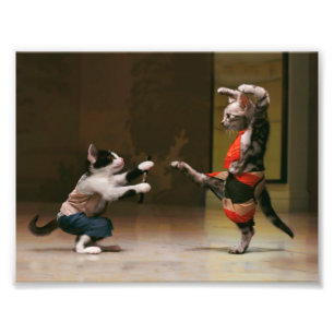 Foto Cães de Karate