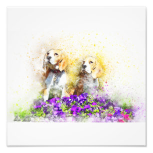 Foto Cães Gêmeos