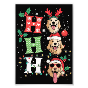 Foto Cães Retrievers Dourados de Natal Ho Ho Ho