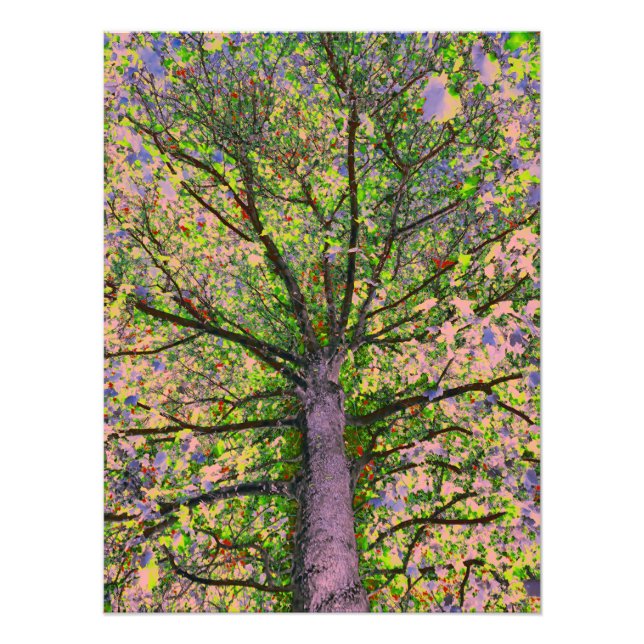 Foto Caesar Salad 15 (Frente)