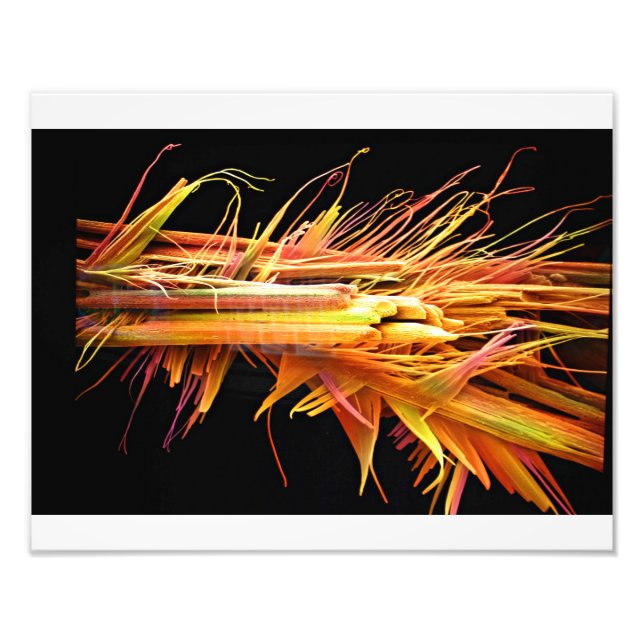 Foto Caffeine Crystals Impressão (Frente)