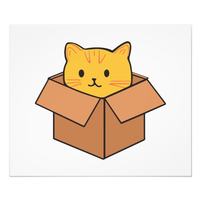 Foto Caixa de cartão dentro (Frente)