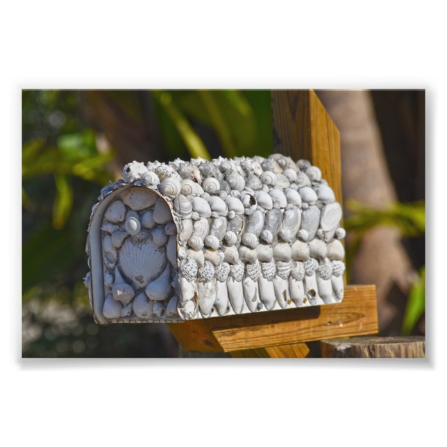 Foto Caixa de Correio Shell, Fort Myers Beach, Flórida (Frente)