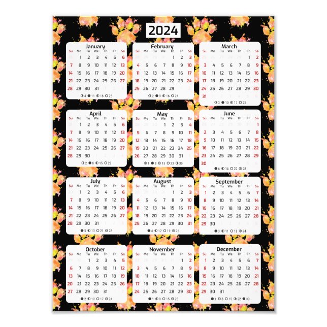 Foto Calendário Vivid Watercolor Splash Dog Paw 2024 (Frente)