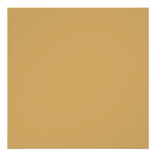 Foto Camelo-sombra de castanho (cor sólida)