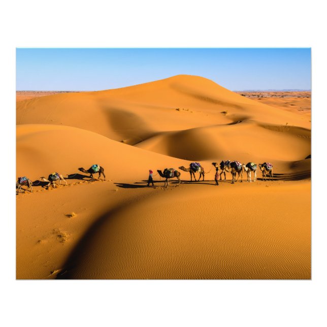 Foto camelos no deserto sob céu azul (Frente)