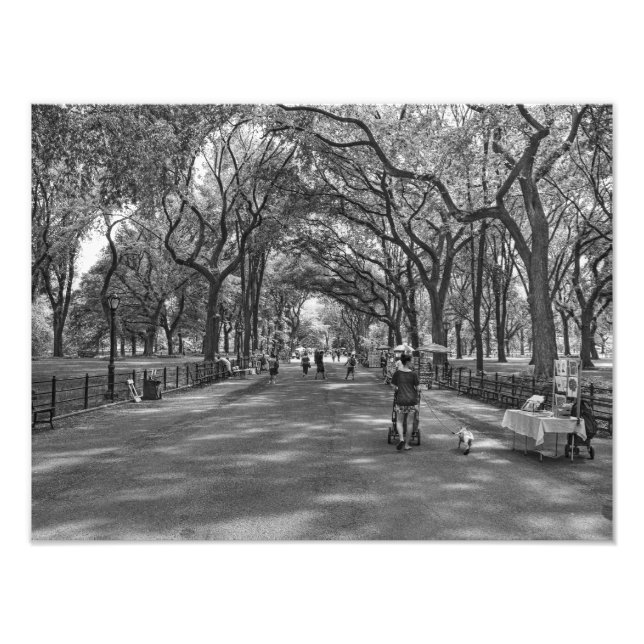 Foto Caminhada Literária - Central Park, Nova Iorque (Frente)