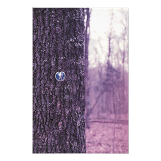 Foto Caminhar no Parque