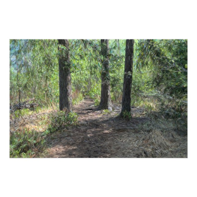 Foto Caminho da floresta (Frente)