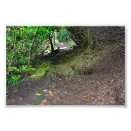 Foto Caminho da Floresta em Allan Park Sowerby Bridge
