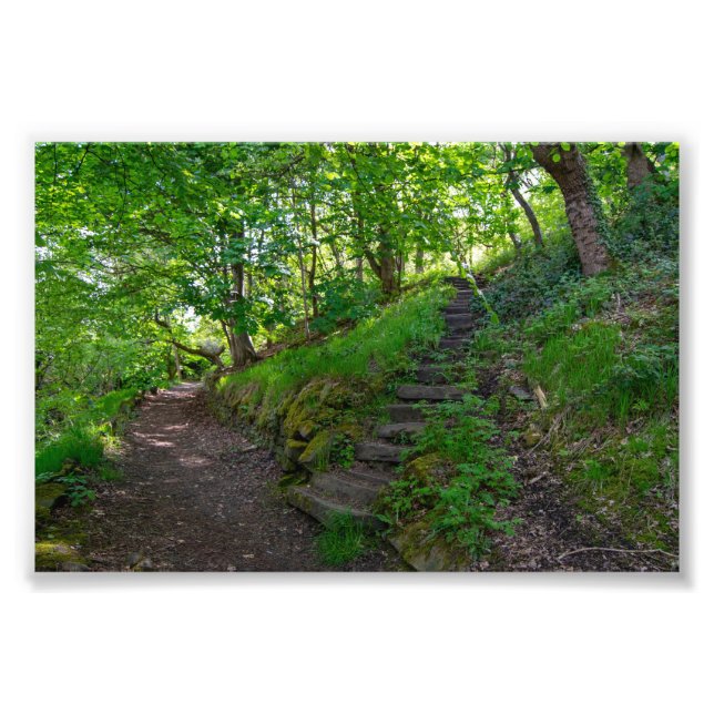 Foto Caminho da Floresta no Parque Allan Sowerby Bridge (Frente)