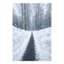 Caminho de Floresta de Inverno Nebuloso Poster de