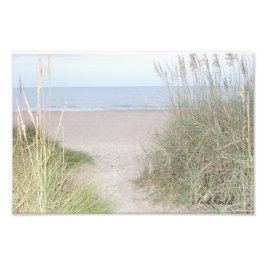 Foto Caminho que passa pelas dunas de areia