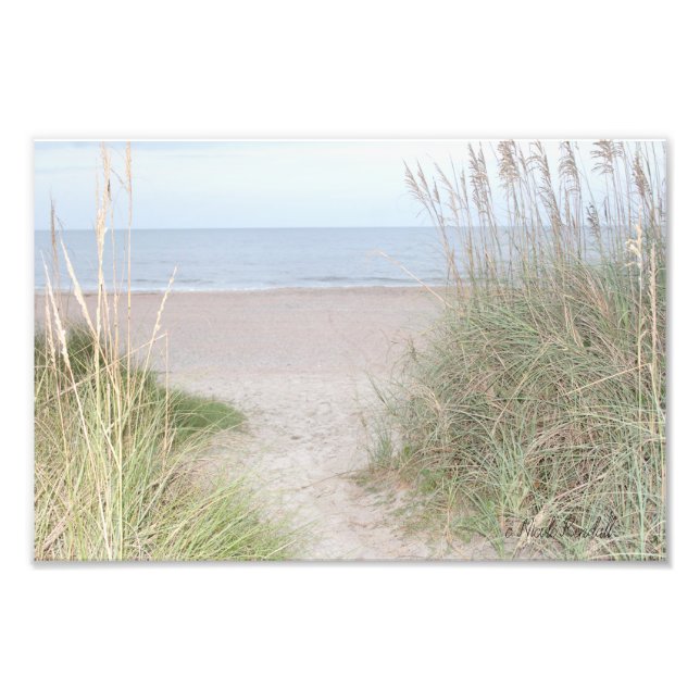 Foto Caminho que passa pelas dunas de areia (Frente)