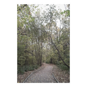 Foto Caminho Silencioso da Floresta de Outono – Edição