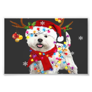 Foto Camiseta engraçada do Westie Natal Rena de Natal L