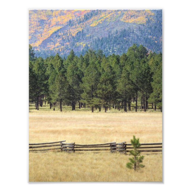 Foto Campo colorido de Flagstaff (Frente)