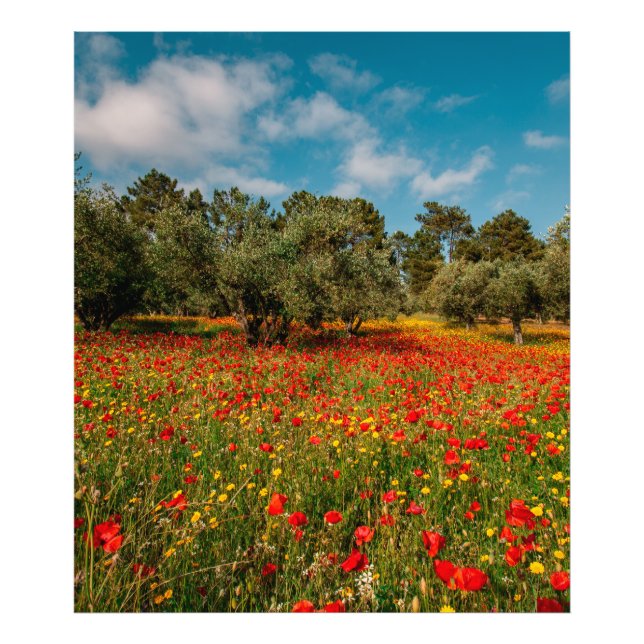 Foto campo com flores e árvores (Frente)