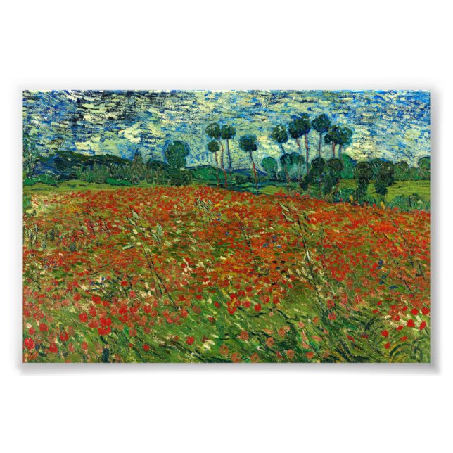 Foto Campo com papagaios por Van Gogh Fine Art (Frente)