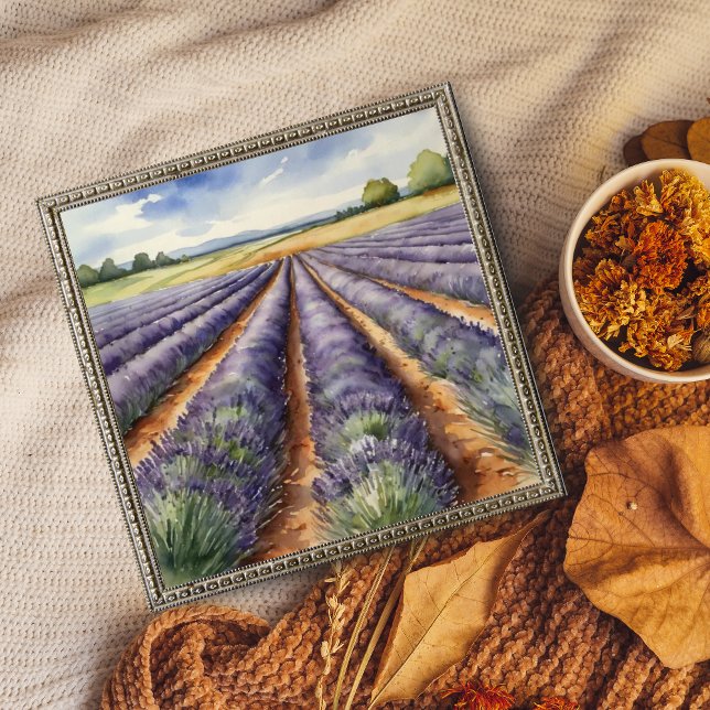 Foto : Campo de Lavanda de Tranquilo (Criador carregado)