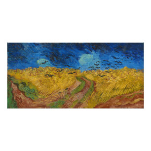 Foto Campo de rodas com corvos