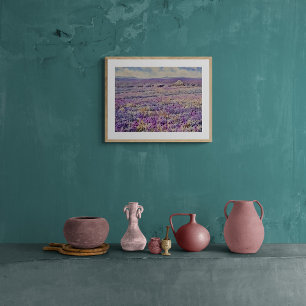 Foto Campos de Lavanda Serenos: Um Sonho em Aquarela