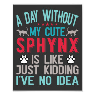 Foto Canadiano Sphynx Cat Proprietário Funny Dizendo