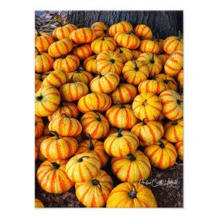 Foto Candy Corn