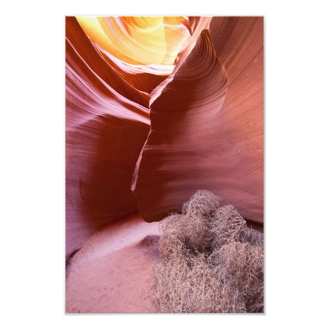 Foto Canyon de muitas cores (Frente)