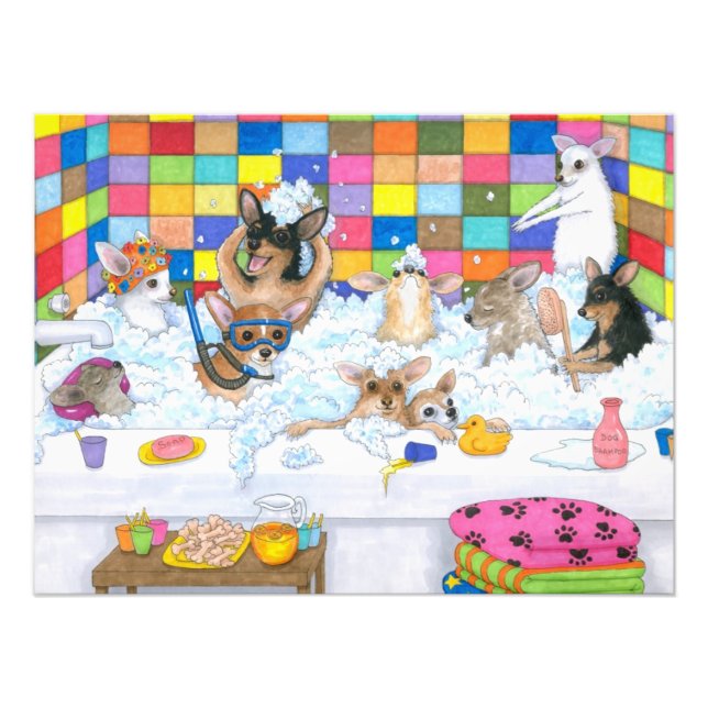 Foto Cão 121 Chihuahua engraçado em banho (Frente)