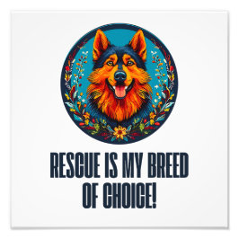 Foto Cão-abrigo alemão