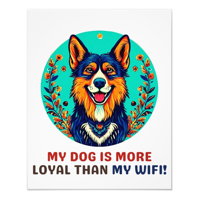 Foto Cão-abrigo alemão (Frente)