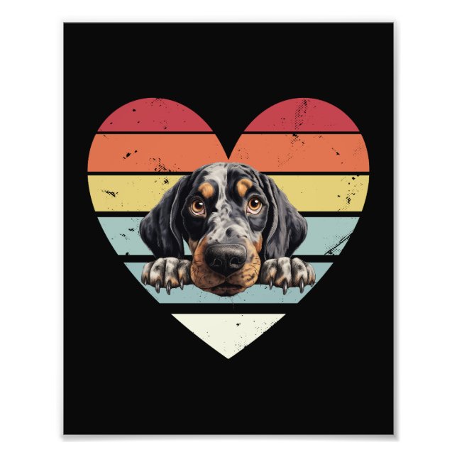 Foto Cão de Conhound Bluetick (Frente)