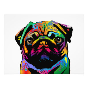 Foto Cão do Pug
