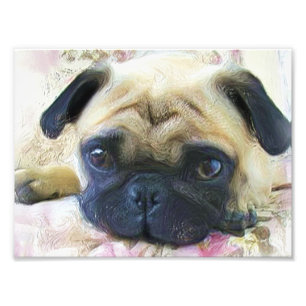 Foto Cão do Pug