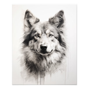 Foto Cão Espírito Livre Preto e Branco