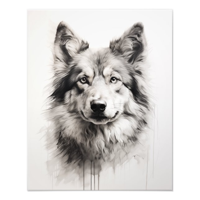 Foto Cão Espírito Livre Preto e Branco (Frente)