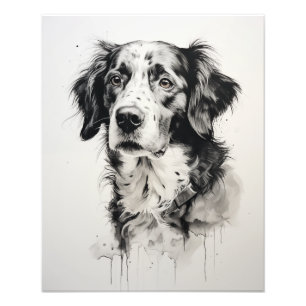 Foto Cão Espírito Livre Preto e Branco