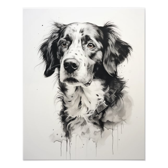 Foto Cão Espírito Livre Preto e Branco (Frente)