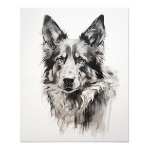 Foto Cão Espírito Livre Preto e Branco