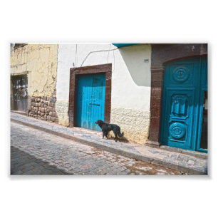 Foto Cão preto em Cusco, Peru