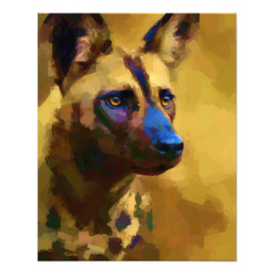Foto Cão selvagem africano pintado