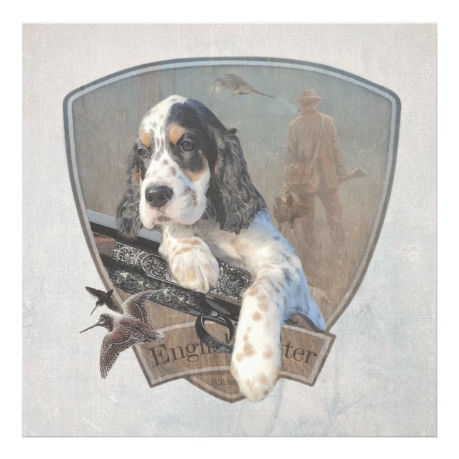 Foto Cãozinho do inglês Setter com uma espingarda cláss (Frente)