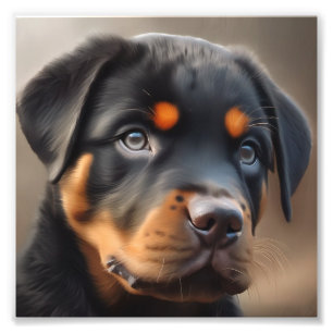 Foto Cãozinho Rottweiler de Fechamento