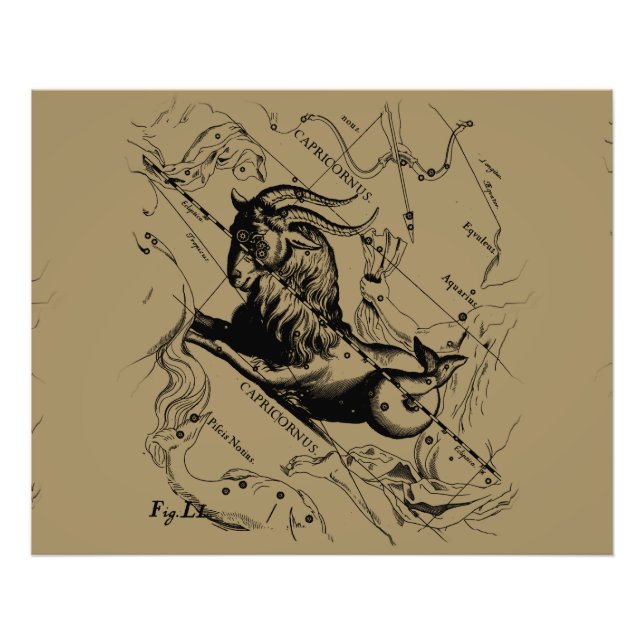 Foto Capricórnio Constelação Hevelius 1690 em Taupe (Frente)