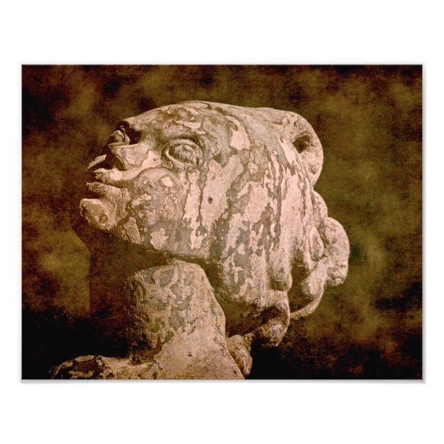 Foto Captura de cabeça da Mermaid (Frente)