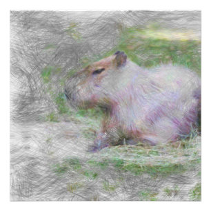 Foto capybara animal artístico