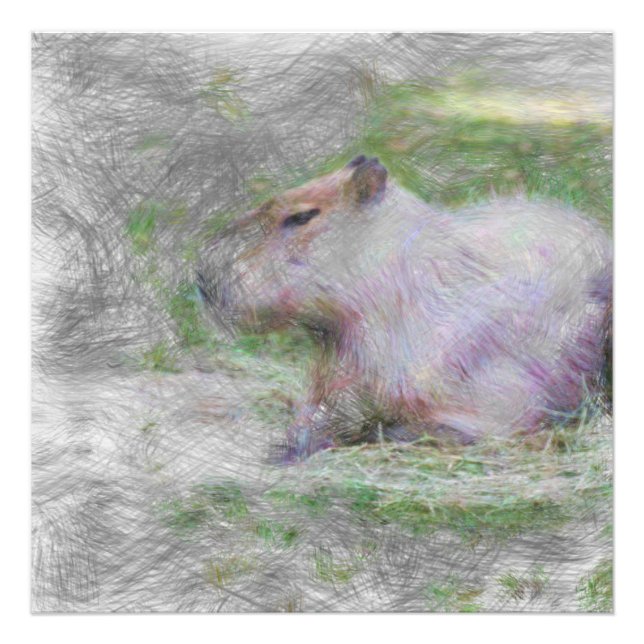 Foto capybara artística (Frente)